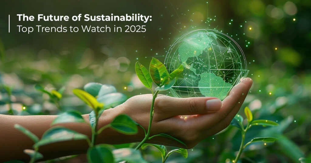 The Future of Sustainability: Top Trends to Watch in 2025